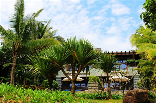 艾果芋丸烧仙草