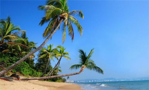 慕慕客重庆时尚火锅