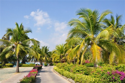 爱尚焖小猪烤肉饭