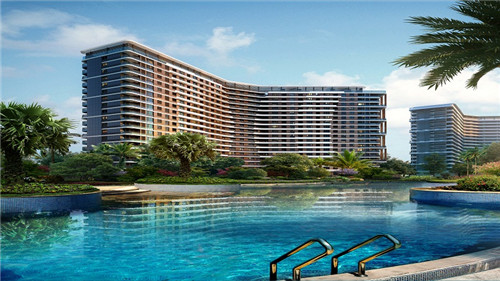 宠物店创业特色及亮点怎么写，宠物店创新创业是什么类型