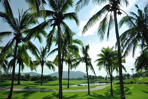 什么是物业三星级服务内容（三星级物业要达到什么标准）