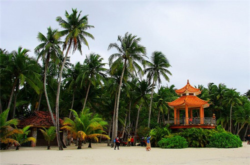 快手的歌曲如何下载（快手的歌曲怎么下载到手机本地）